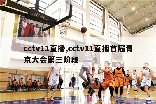 cctv11直播,cctv11直播首届青京大会第三阶段